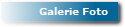 Galerie Foto