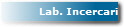 Lab. Incercari